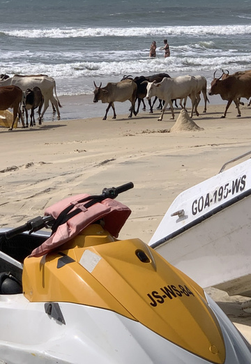 Manoj mv (@manojmv1) — my photo № 3