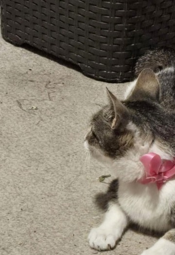 Hilda-Dalia (@hilda-dalia) — my photo № 1