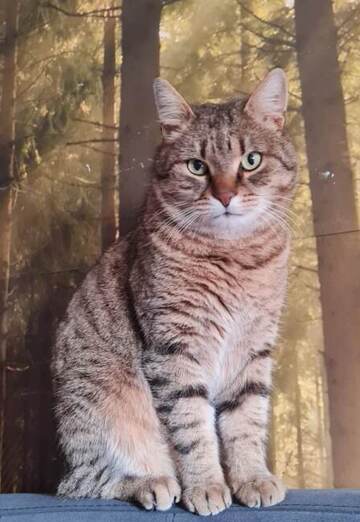 Hilda-Dalia (@hilda-dalia) — my photo № 2