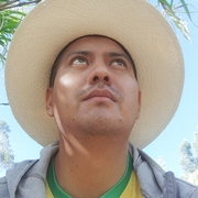 Alex 33 Ambato