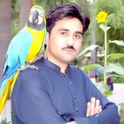 AZIZ KHAN PK 29 Peshawar