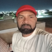 Nilson 31 Rondonopolis