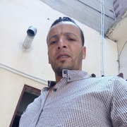 Impo 37 Alger