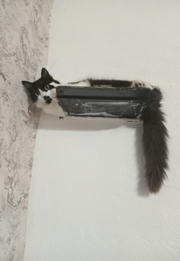 Musulmane (@musulmane3) — my photo № 1