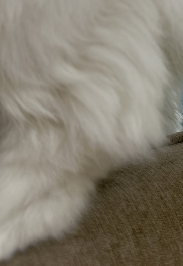 Kenny (@kenny899) — my photo № 1