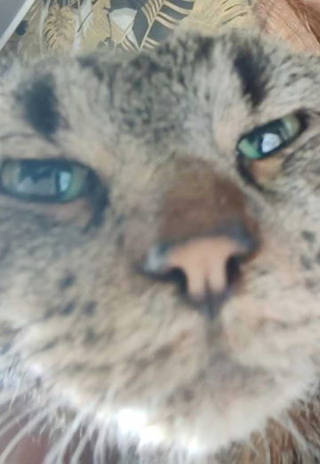 LEGO (@lego221) — my photo № 1