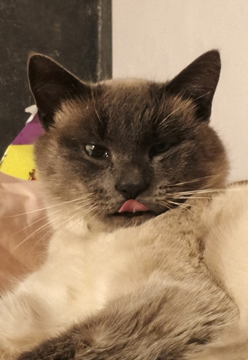 Albert (@albert29740) — my photo № 1