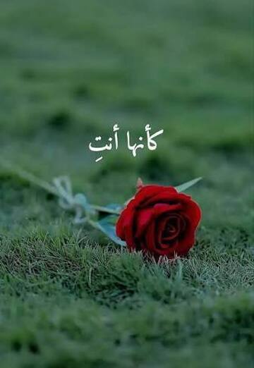 Laid (@laid22) — my photo № 1