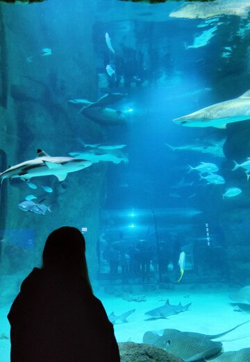 Кани (@kani193) — моя фотография № 2