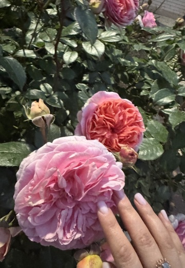 Madin (@madin129) — my photo № 1