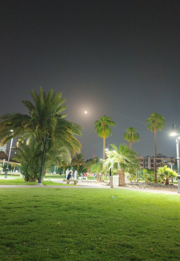 MOHAMMAD (@mohammad1353) — my photo № 1