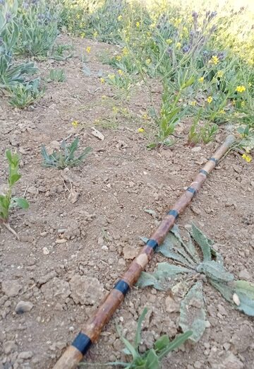 Fateh (@fateh94) — my photo № 3