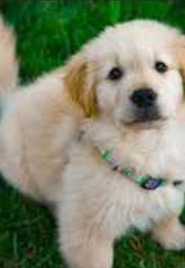 ABC (@abc643) — my photo № 1