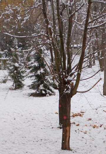 Kimo86 (@lahssini) — my photo № 1