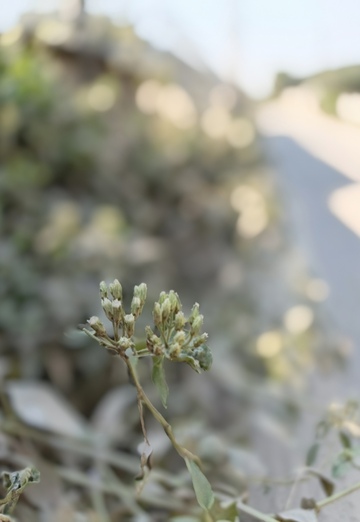 Mr Raju (@mrraju) — my photo № 1