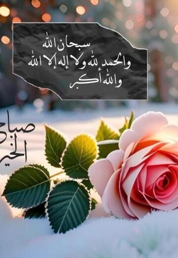 باسل (@hwwmcmwnyw) — my photo № 1