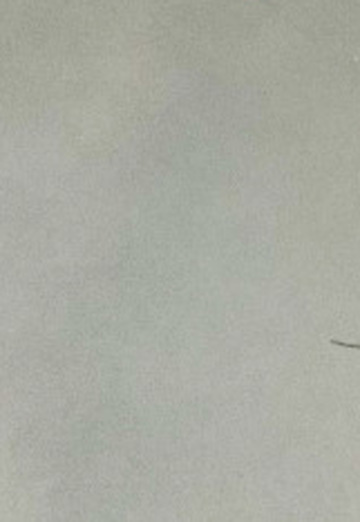 Hans (@hans498) — my photo № 4