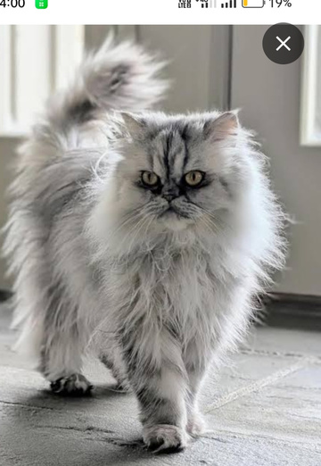 Aman (@aman5408) — my photo № 1