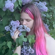Софа 19 Иваново