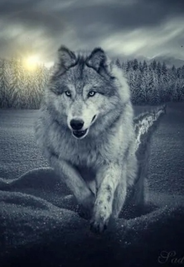 Hdish (@hdish0) — my photo № 1