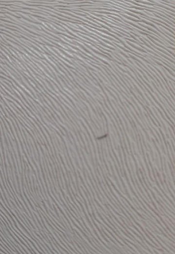 محمد عقيل (@k8l56pvnii) — my photo № 2