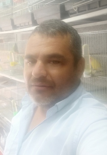 My photo - Mohammad, 34 from Tehran (@mohammad1405)