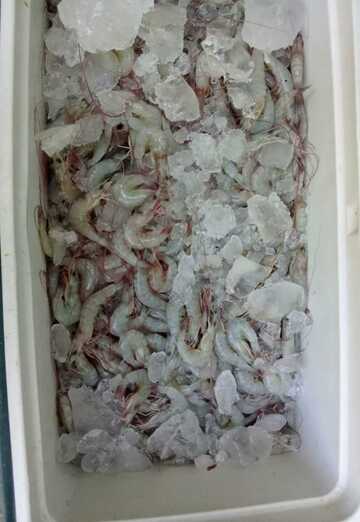 Hector Guiana (@hectorguiana) — my photo № 2